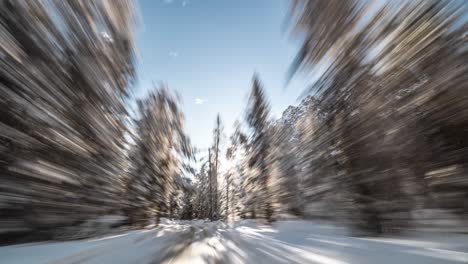 Schnelle-Fahrt-Durch-Den-Wald-Von-St.-Vigil-In-Enneberg-Nach-Pederu