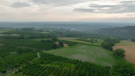 Flug-über-Weinberge-Bei-Sonnenuntergang-In-Italien