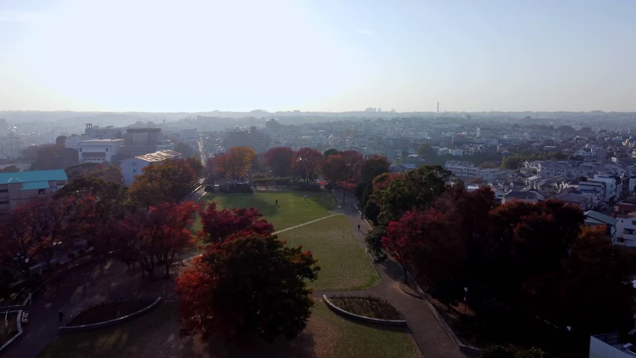 해가 지는 가을 잎자루와 함께 활기찬 도시 공원, 배경의 스카이 라인, 공중 풍경