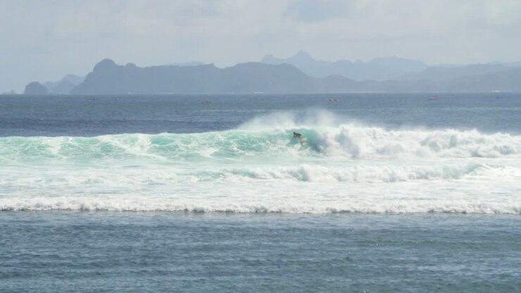 Surfer Carving a Wave