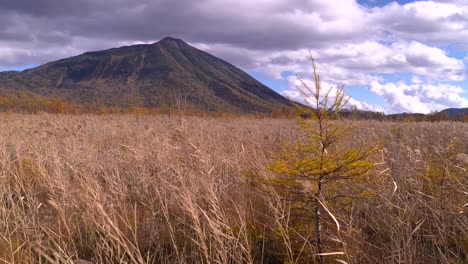 Beautiful-grassland-on-partially-cloudy-day-with-blue-sky-and-tall-mountain