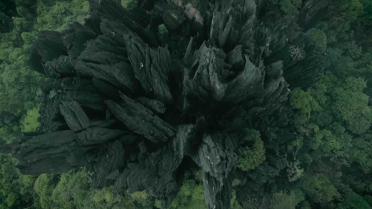 vista aérea de arriba hacia abajo de un bosque tropical exótico en la naturaleza