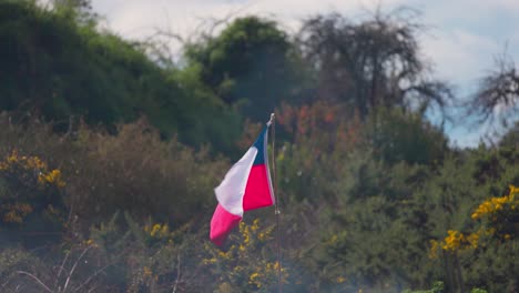 patriotic chilean flag waving in the coast of castro south of chile