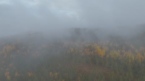 Disparo-De-Drones-En-Las-Nubes-Sobre-El-Bosque-En-Noruega-En-Un-Día-De-Otoño