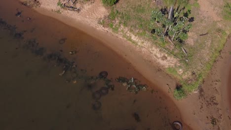 Toma-De-Establecimiento-De-Una-Pequeña-Isla-Cubierta-De-Palmeras