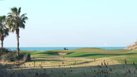 Mann-Fährt-Golfwagen-über-Das-Spielfeld-Mit-Malerischem-Meer-Im-Hintergrund