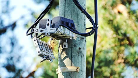 unsecured cable box hangs from power pole, exposing wires in risky outdoor setup
