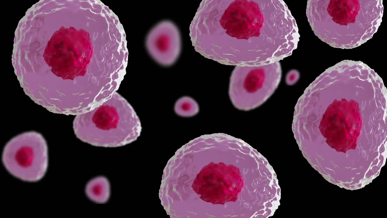 animación de micro de células rojas y rosadas sobre fondo negro