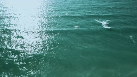 Surfers-waiting-for-the-perfect-wave-in-crystal-clear-waters