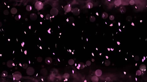 colorful bright petals swinging in spring background with sun flares. beautiful nature scene. illustration cherry blossom petals. abstract spring graphic. loop animation.