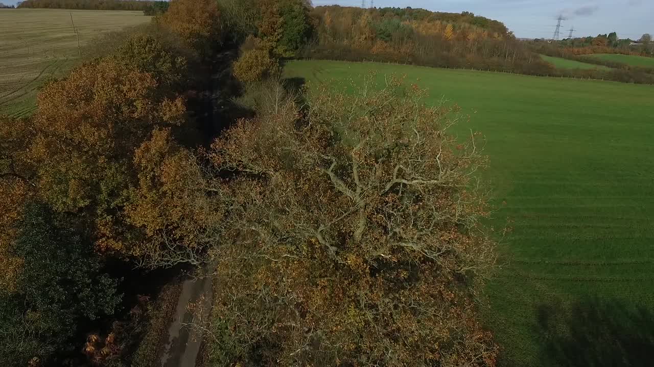 Flying in a rural area near many fields stands a big tree, this is a drone pan up and over the tree