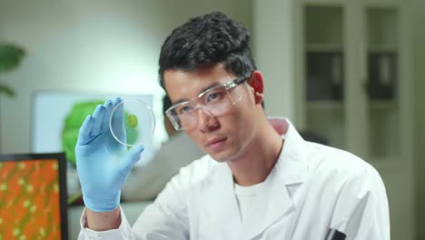 botanist man looking at petri dish with leaf sample checking gmo test for chemistry experiment. biologist analyzing plant in biological laboratory