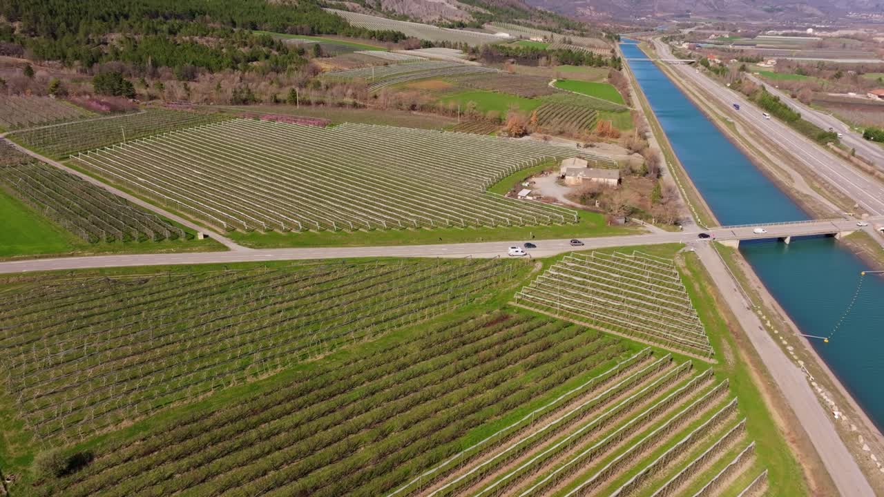 Frutteto primaverile con alberi spogli e file ordinate in un campo rurale francese