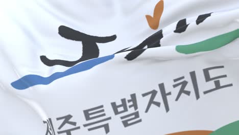 jeju flag, province of south korea, loop