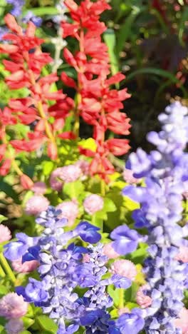las flores de colores florecen en un jardín exuberante