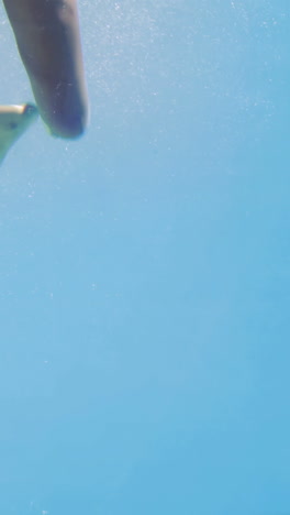 brunette jumping into swimming pool wearing snorkel