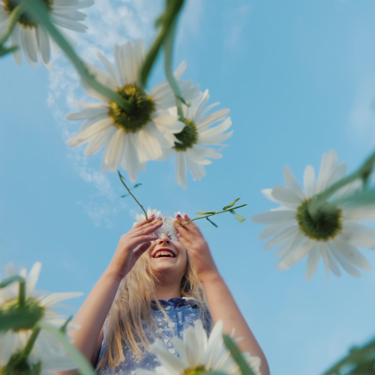 niño hilarante arranca margaritas en el campo