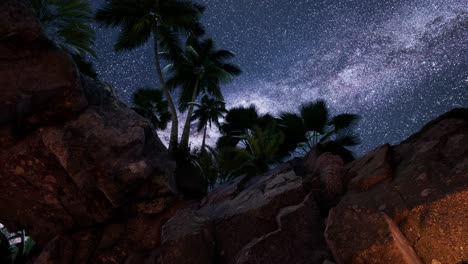 4K-hyperlapse-star-trails-over-sandstone-canyon-walls-and-palms