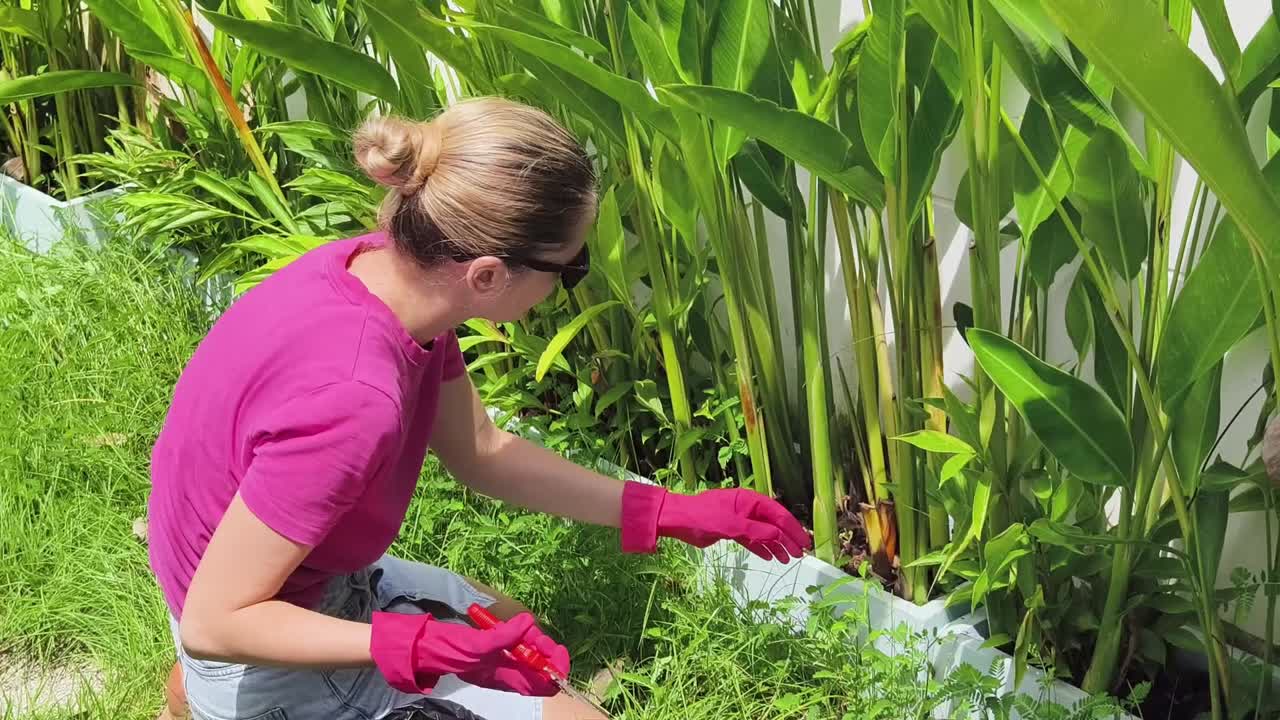 mujer jardinería en el patio
