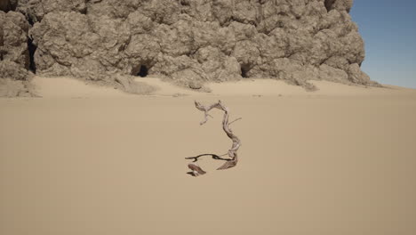 a dead tree stands in a barren desert landscape