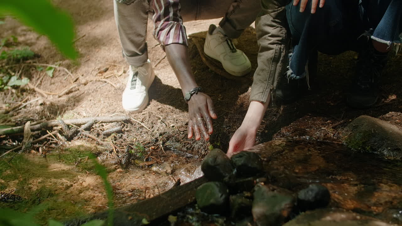 Friends exploring a forest stream