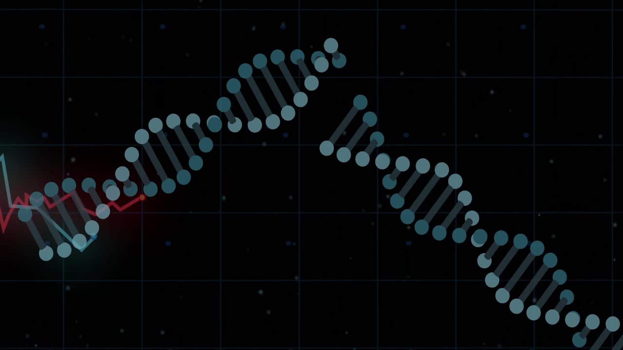 Dna structures spinning against red graph over grid network against black background