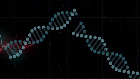 dna structures spinning against red graph over grid network against black background