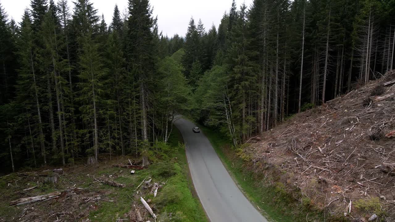A lone white SUV travels from a clear cut forest into the dense tree line, aerial descend