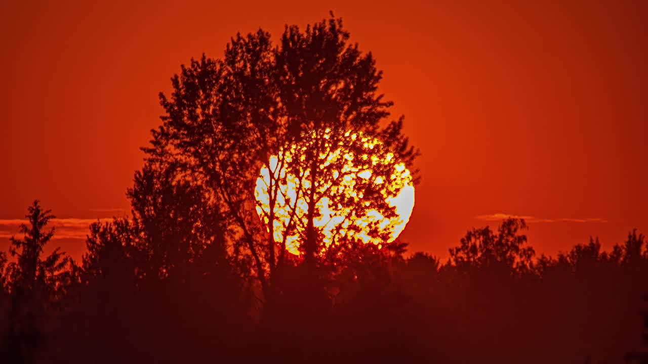 tiro de lapso de tiempo de la puesta de sol detrás del horizonte del bosque distante durante la noche
