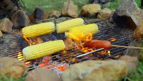 close-up of friends roasting hot dog and corn on campfire 4k