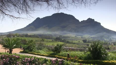 Viñedos-En-El-Distrito-De-Stellenbosch