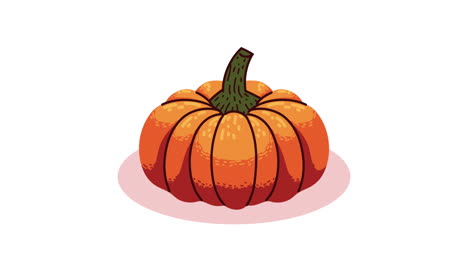 pumpkin vegetable autumn season animation