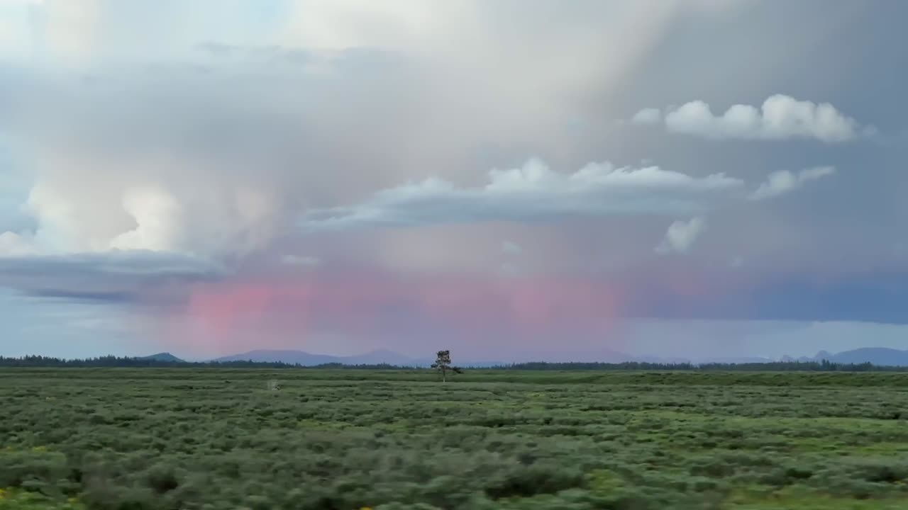 핑크색 비가 커 ⁇ 로닌버스 구름에서 떨어집니다.