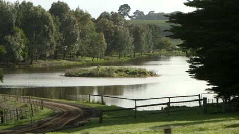 rural lake on a sunny day