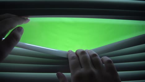 4k . hand open the jalousie. green screen