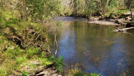 Süßwasser,-Das-Den-Fluss-Teign-Im-Nationalpark-Dartmoor-Hinunterfließt