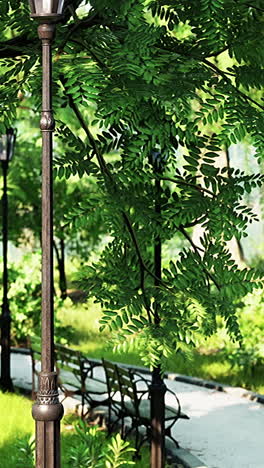 a peaceful park with benches, trees, and streetlights