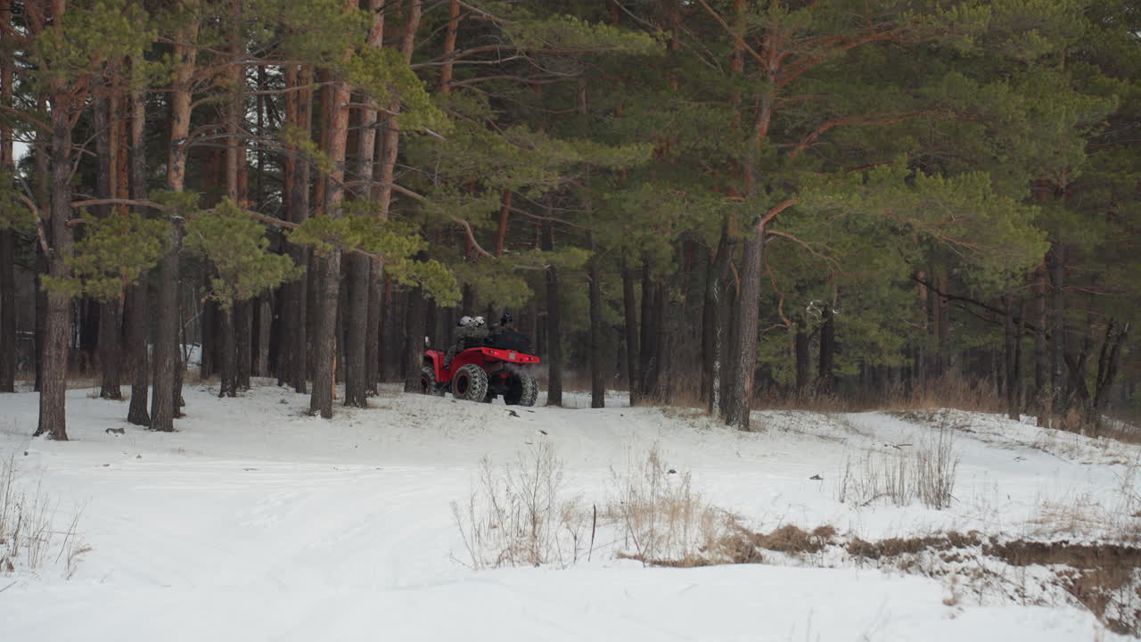 Un quad rosso si snoda in una stretta foresta innevata, il pilota naviga in fitti corridoi di pini con sterzo preciso, bassa luce invernale, rami ravvicinati, un intenso percorso tecnico, un'avvincente azione fuoristrada.