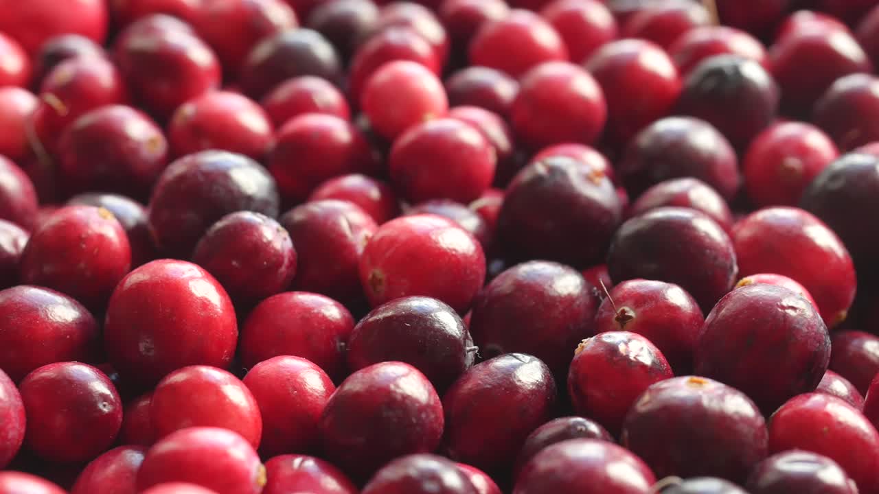 신선한 은 크랜베리 회전