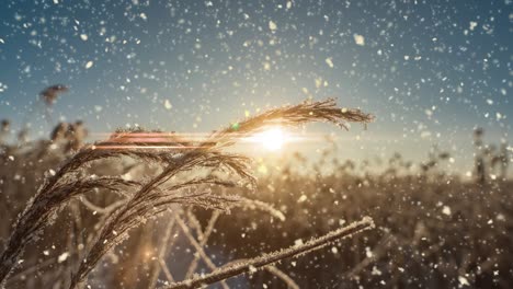 bright sunny landscape with snow falling snow and a small house in the forest, cinemagraph, video loop