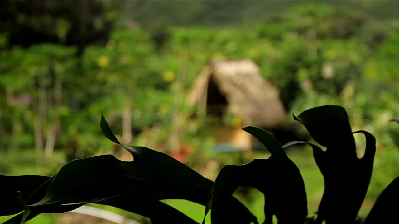 una pequeña choza nativa en la jungla en una isla tropical