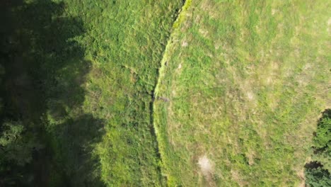 &quot;El-Dron-Se-Eleva-Sobre-El-Lago-Iluminado-Por-El-Amanecer-En-Europa,-Revelando-Una-Laguna-Tranquila,-Un-Bosque-Exuberante-Y-Estanques-Naturales.