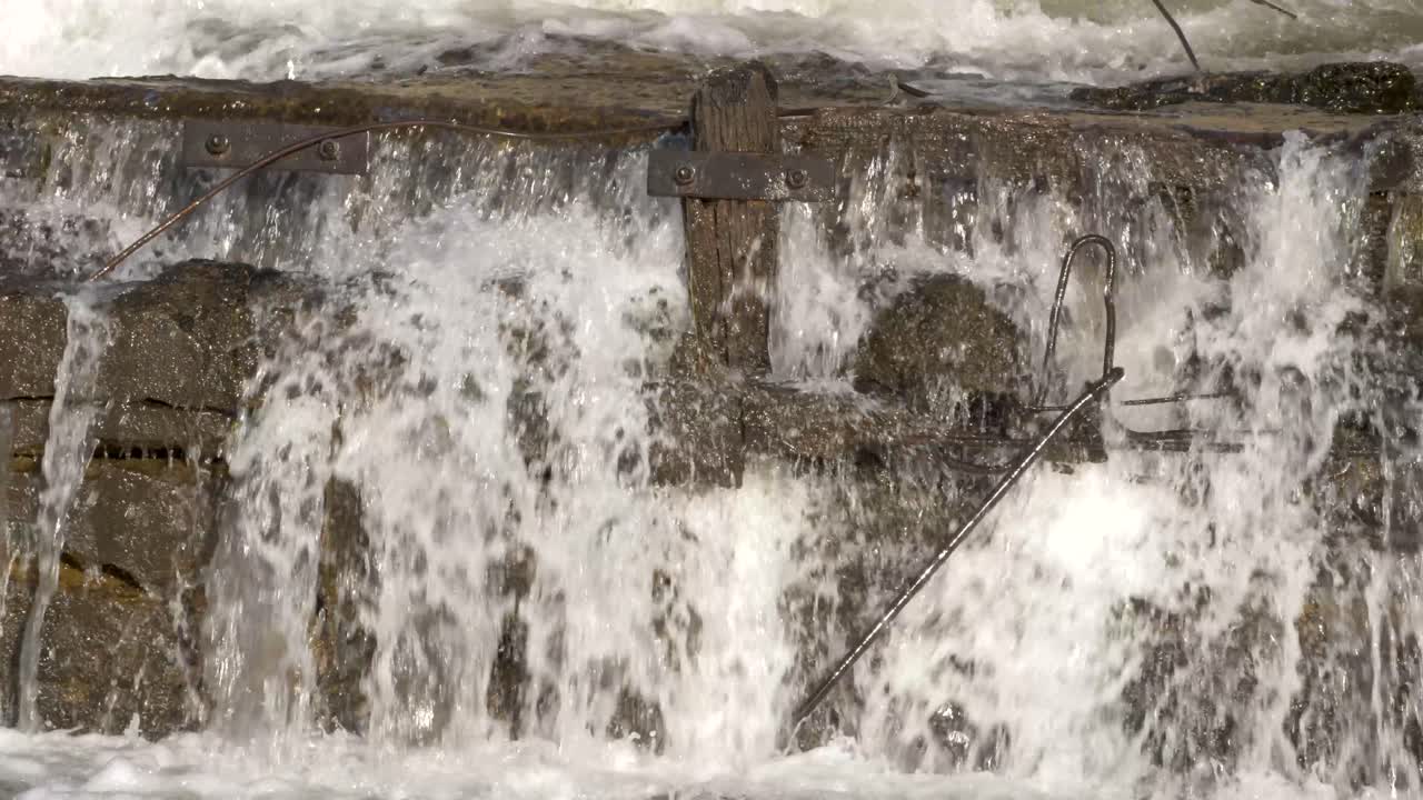 Dam bursted and broken, flooding a forest park in spring time - Detail shot