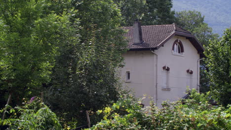 white house surrounded by lush greenery