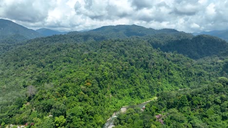 indonesia’s tropical rainforests, biodiverse and ecologically habitats