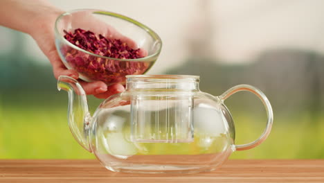 person adding dried rose petals into a glass teapot for brewing tea