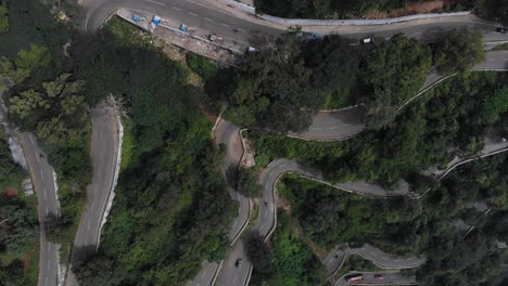 aerial top-down shot of endless vast forest with trees growing on the hairpin bends yercaud, india