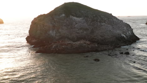 Aerial-Orbit-of-Sea-Lions-Resting-on-a-Rock-off-the-Northern-Californian-Coastline