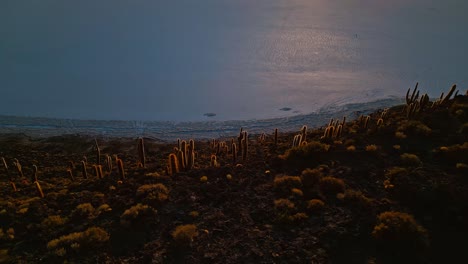 marvel at bolivia's natural splendor at sunrise with stunning drone footage of isla incahuasi, salar de uyuni's salt flats, and distinctive cacti, capturing the ethereal beauty of the landscape