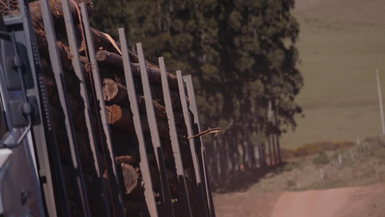 vía cargada que conduce desde el bosque a la planta de procesamiento